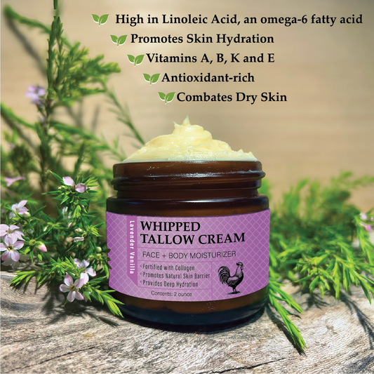 Whipped Chicken Tallow - Lavender / Vanilla