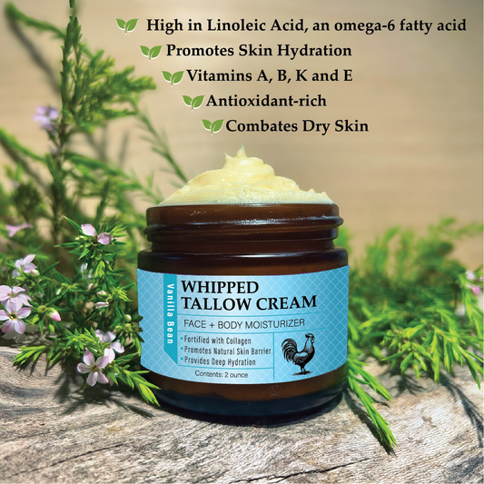 Whipped Chicken Tallow - Vanilla Bean
